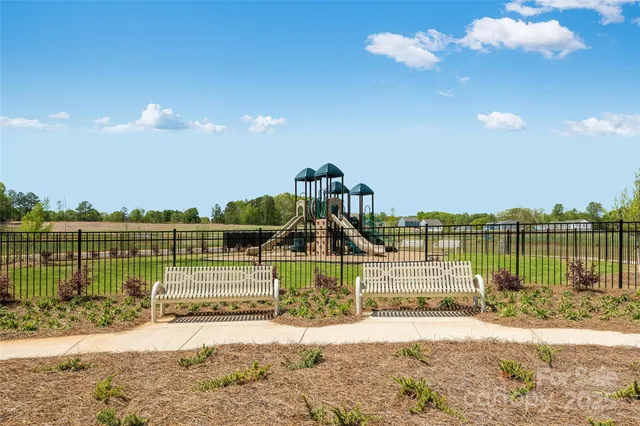 a view of a park with plants and trees