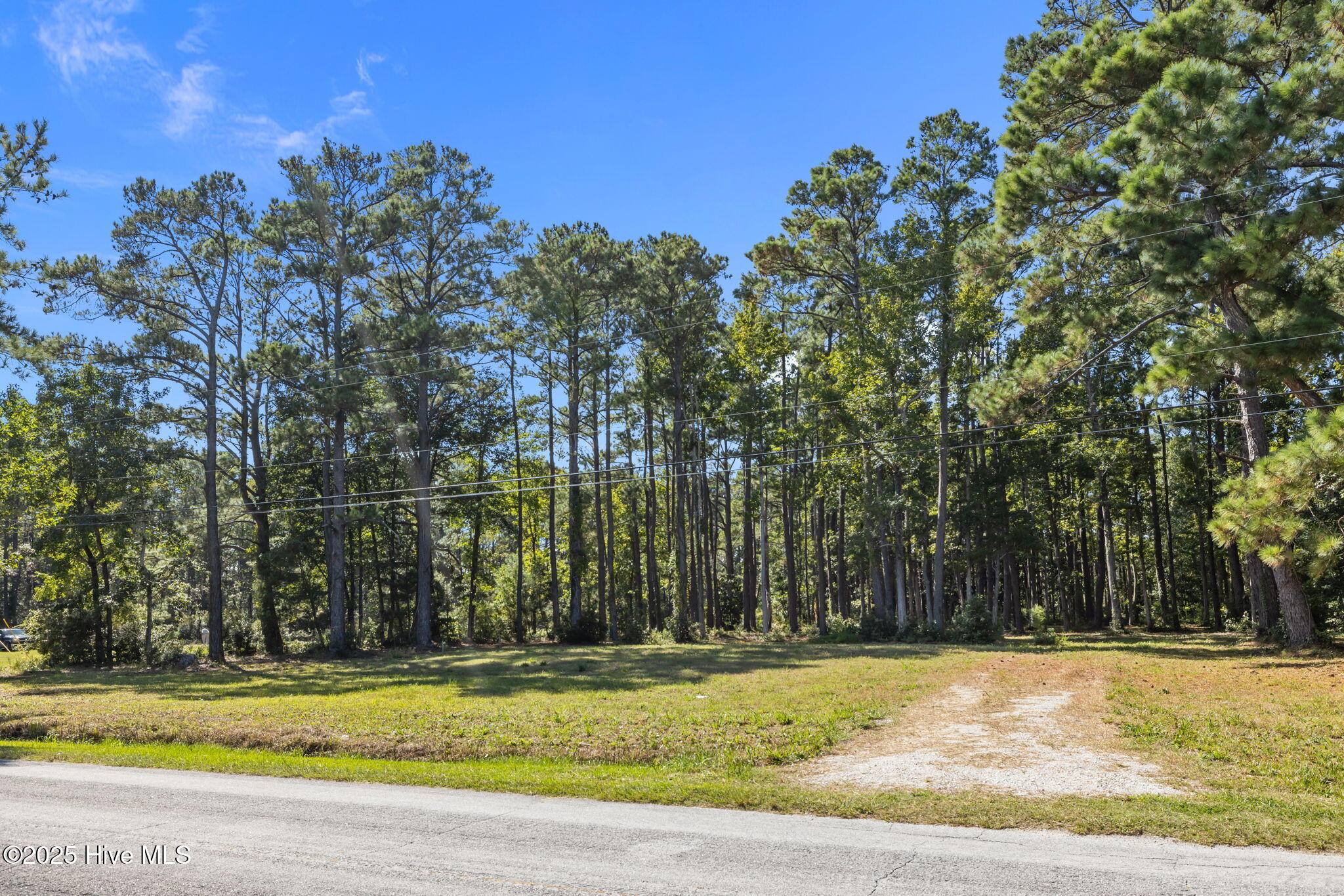 220 Nelson Neck Road Sealevel, NC 28577 - Photo 3 of 14 220 Nelson Neck Rd Street View