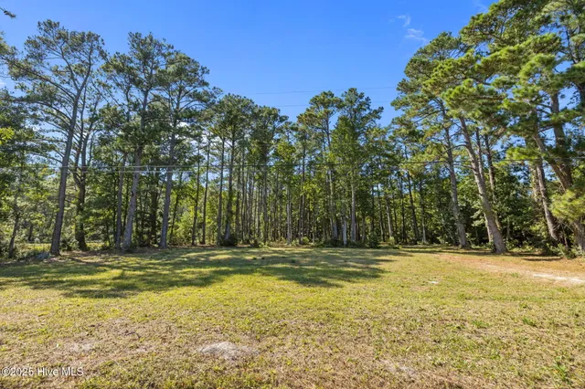 $79,000 | 220 Nelson Neck Road, Sealevel, NC 28577