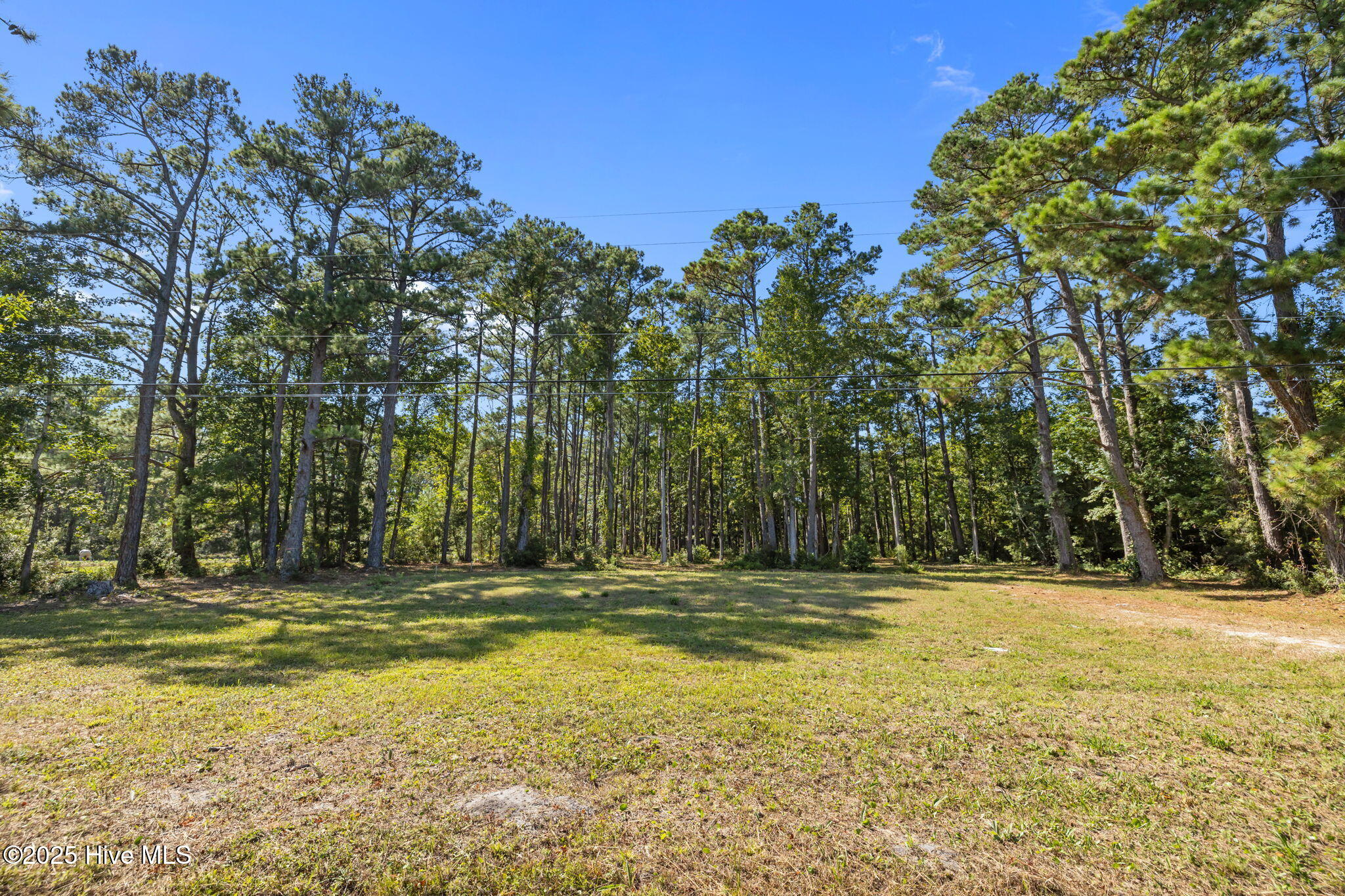 220 Nelson Neck Road Sealevel, NC 28577 - Photo 4 of 14 220 Nelson Neck Rd Street View