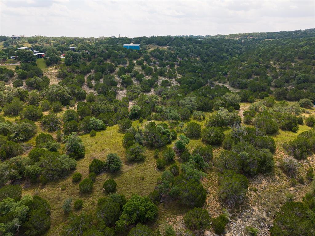 121 Spring Cove Dripping Springs, TX 78620 - Photo 8 of 40