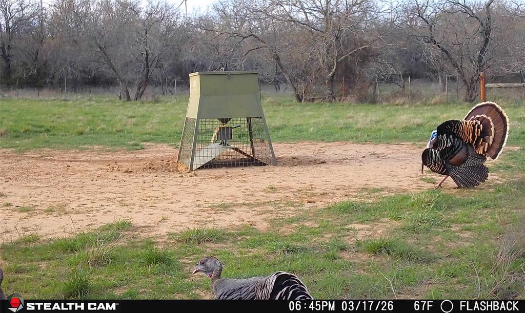 4909 Barton Chapel Road Jacksboro, TX 76458 - Photo 18 of 37 a view of outdoor space and yard