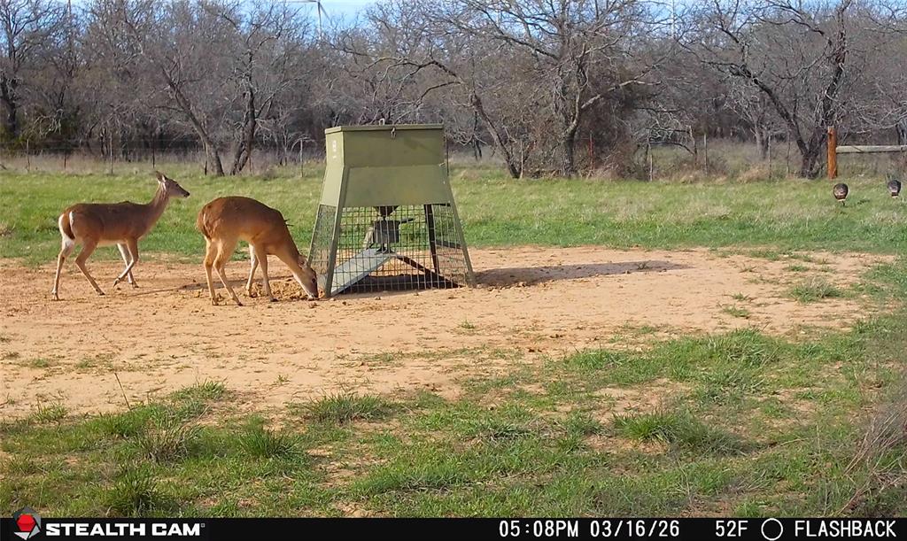 4909 Barton Chapel Road Jacksboro, TX 76458 - Photo 19 of 37 a view of a wooden bench and trees in the background