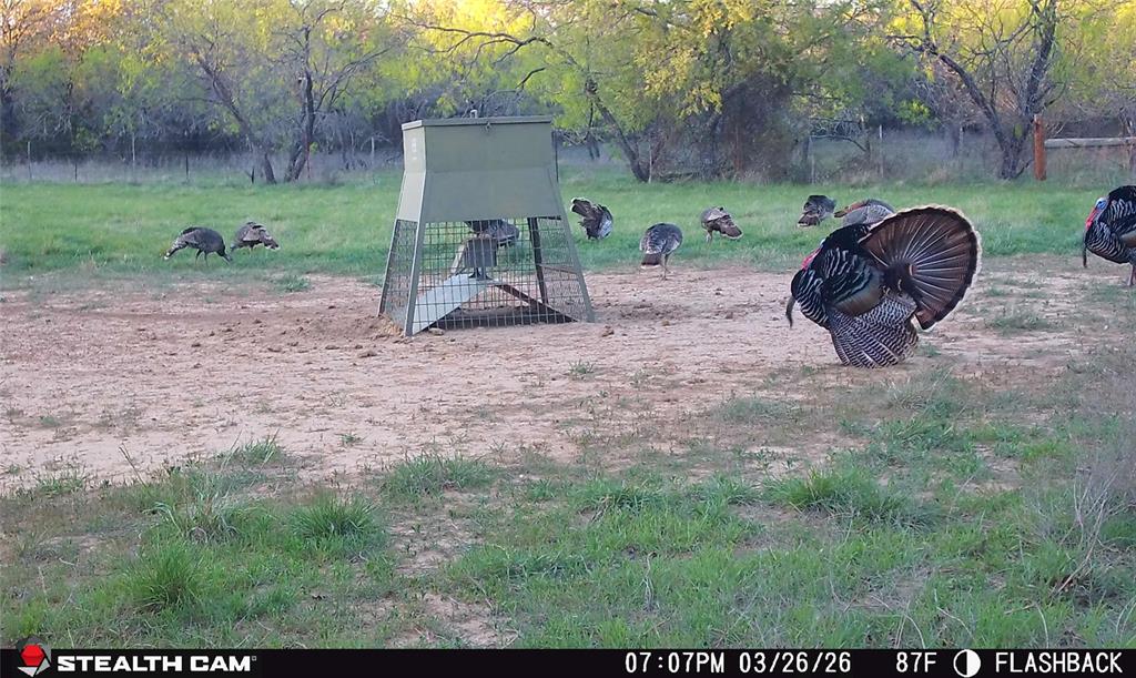 4909 Barton Chapel Road Jacksboro, TX 76458 - Photo 20 of 37 a backyard of a house with table and chairs