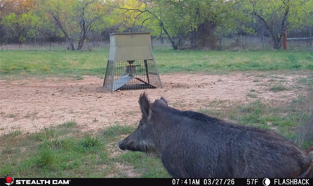 4909 Barton Chapel Road Jacksboro, TX 76458 - Photo 21 of 37 a view of a backyard