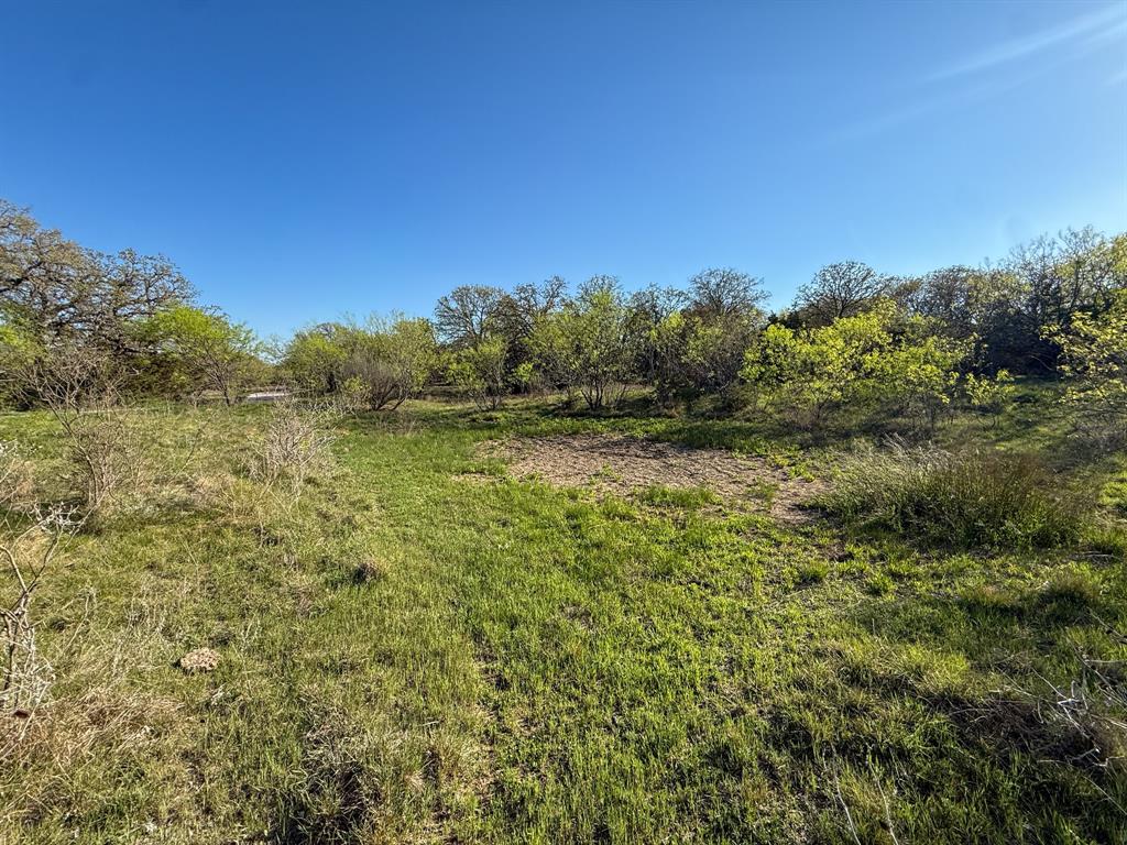 4909 Barton Chapel Road Jacksboro, TX 76458 - Photo 22 of 37