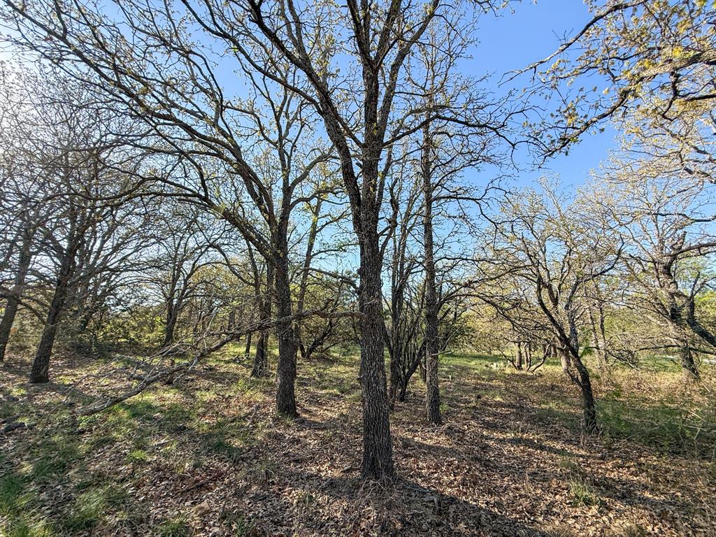 4909 Barton Chapel Road Jacksboro, TX 76458 - Photo 24 of 37 a backyard of a house with lots of trees