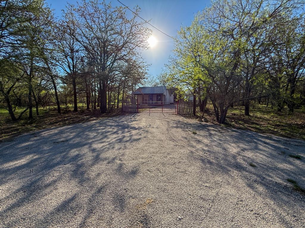 4909 Barton Chapel Road Jacksboro, TX 76458 - Photo 25 of 37 a view of a yard with plants and trees