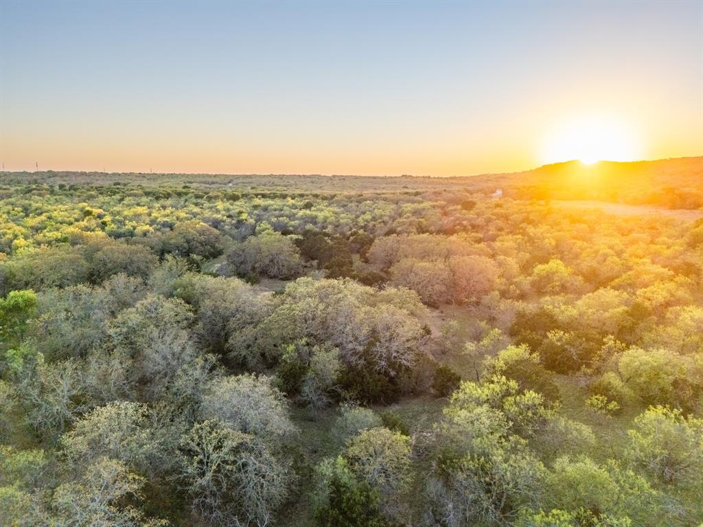 4909 Barton Chapel Road Jacksboro, TX 76458 - Photo 3 of 37 an aerial view of houses covered in trees