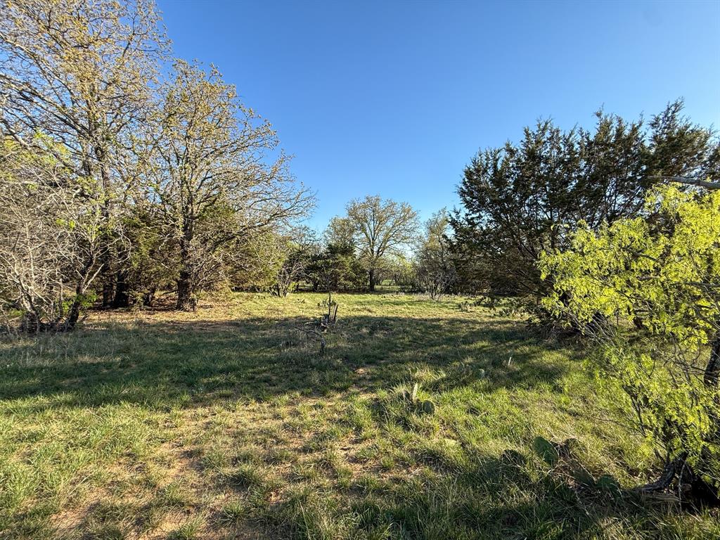4909 Barton Chapel Road Jacksboro, TX 76458 - Photo 35 of 37 a view of a yard with a tree