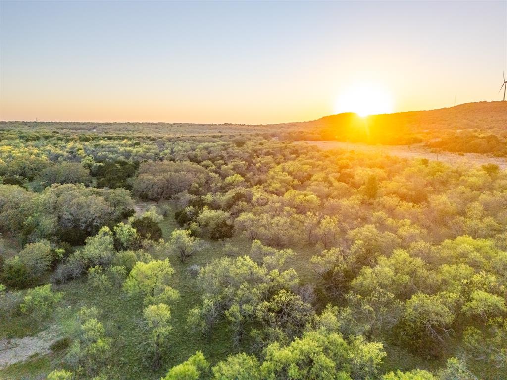 4909 Barton Chapel Road Jacksboro, TX 76458 - Photo 4 of 37 an aerial view of residential houses with outdoor space