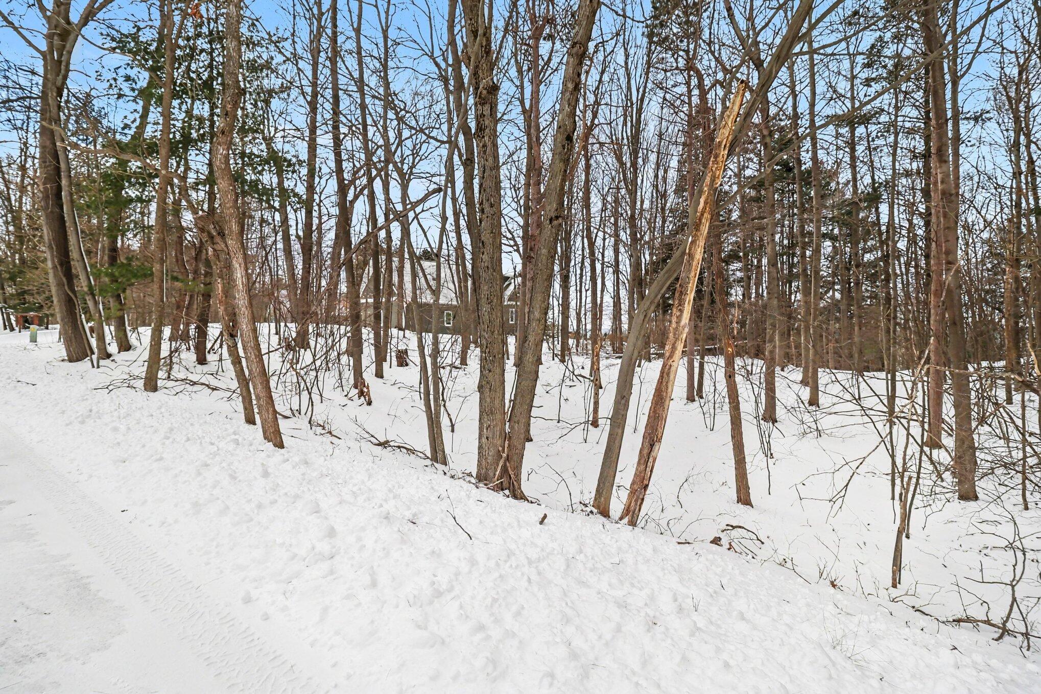 Lot 11 North Silver Ridge Road Mears, MI 49436 - Photo 13 of 25 012_5r6a1765_723