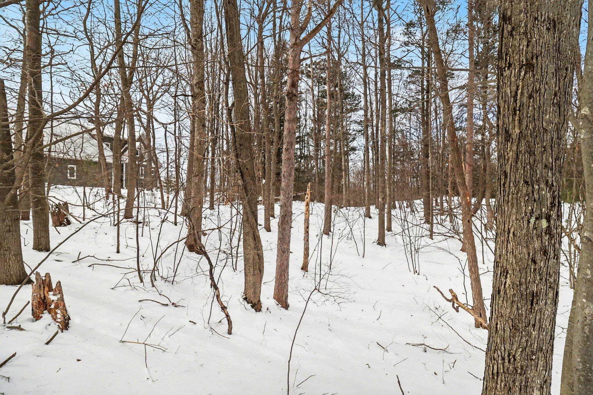 Lot 11 North Silver Ridge Road Mears, MI 49436 - Photo 14 of 25 013_5r6a1767_712