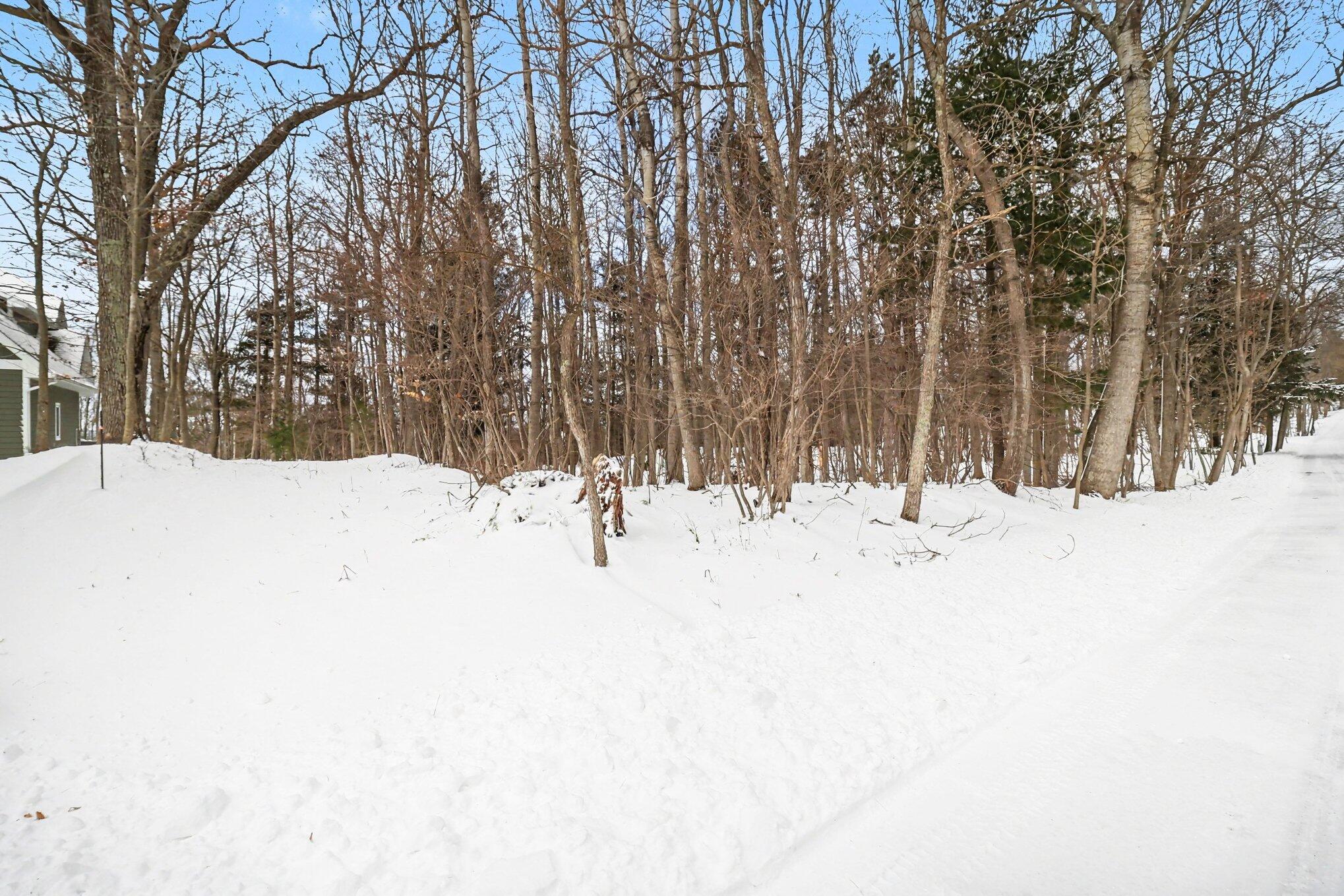 Lot 11 North Silver Ridge Road Mears, MI 49436 - Photo 16 of 25 010_5r6a1763_443