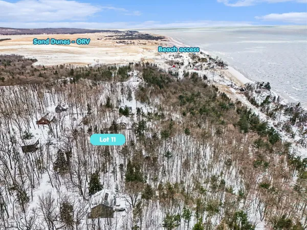 $199,900 | Lot 11 North Silver Ridge Road, Mears, MI 49436