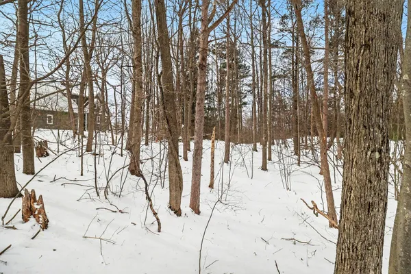 $199,900 | Lot 11 North Silver Ridge Road, Mears, MI 49436
