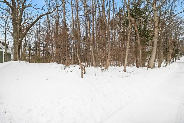 $199,900 | Lot 11 North Silver Ridge Road, Mears, MI 49436