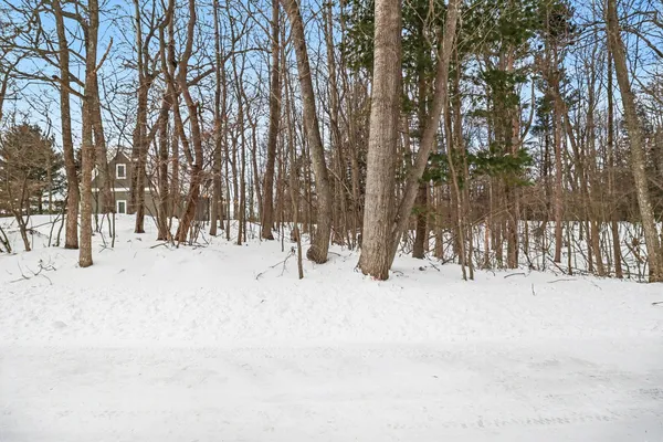 $199,900 | Lot 11 North Silver Ridge Road, Mears, MI 49436