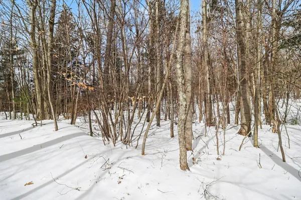 $199,900 | Lot 11 North Silver Ridge Road, Mears, MI 49436