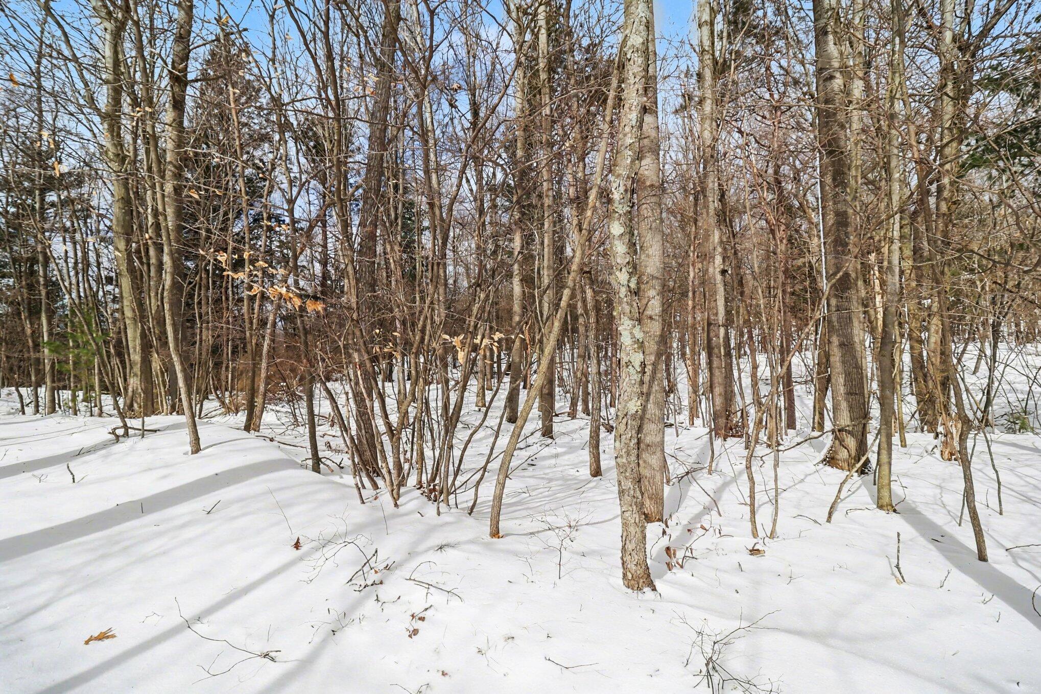 Lot 11 North Silver Ridge Road Mears, MI 49436 - Photo 8 of 22 014_5r6a1768_251