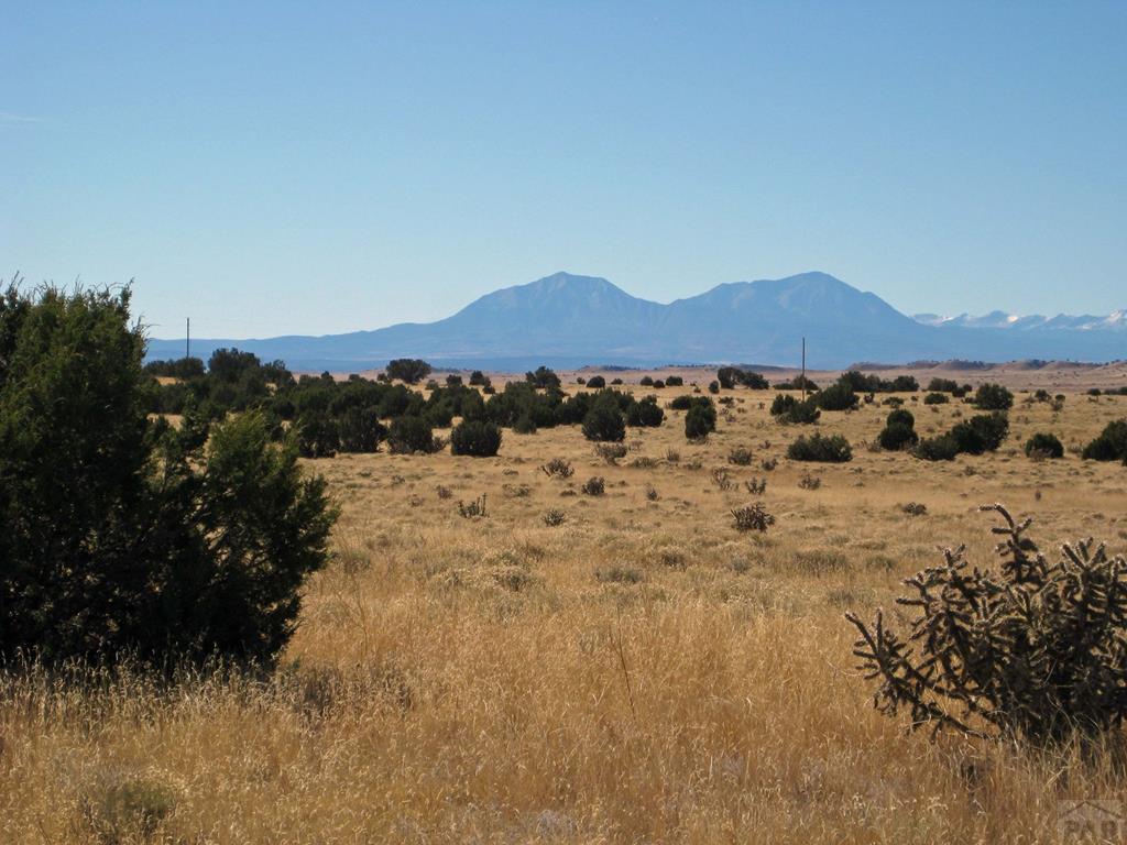 Lot 101 Turkey Ridge Ranch Walsenburg, CO 81089 - Photo 2 of 47