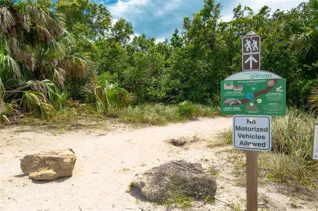 a view of beach and ocean