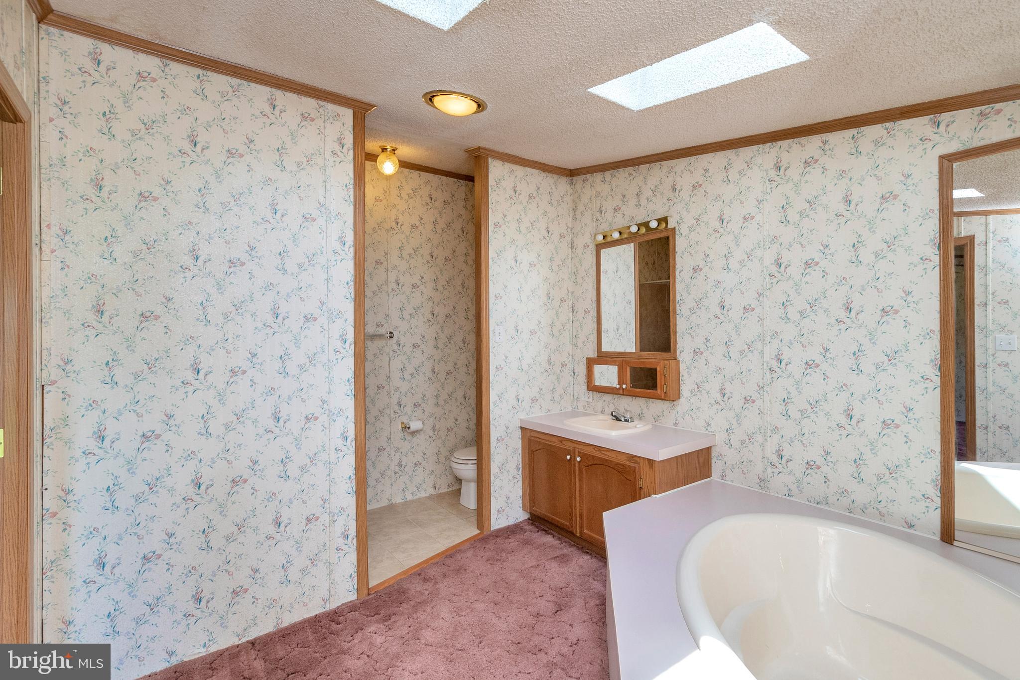 34076 Ridge View Drive Locust Grove, VA 22508 - Photo 15 of 27 Huge master bath with skylights