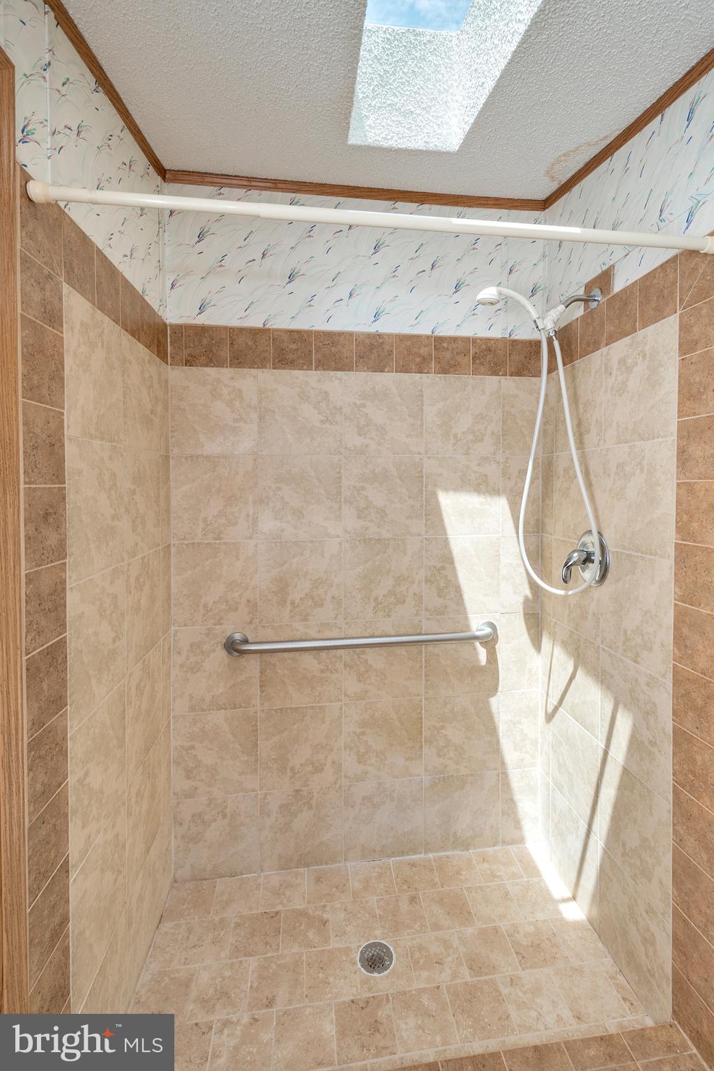 34076 Ridge View Drive Locust Grove, VA 22508 - Photo 22 of 27 Shower w/skylights & hand rails for assistance