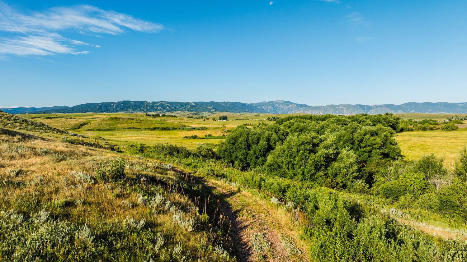 214 Meade Creek Road Sheridan, WY 82801 - Photo 34 of 90 034_dji_20250714072635_0149_d_682