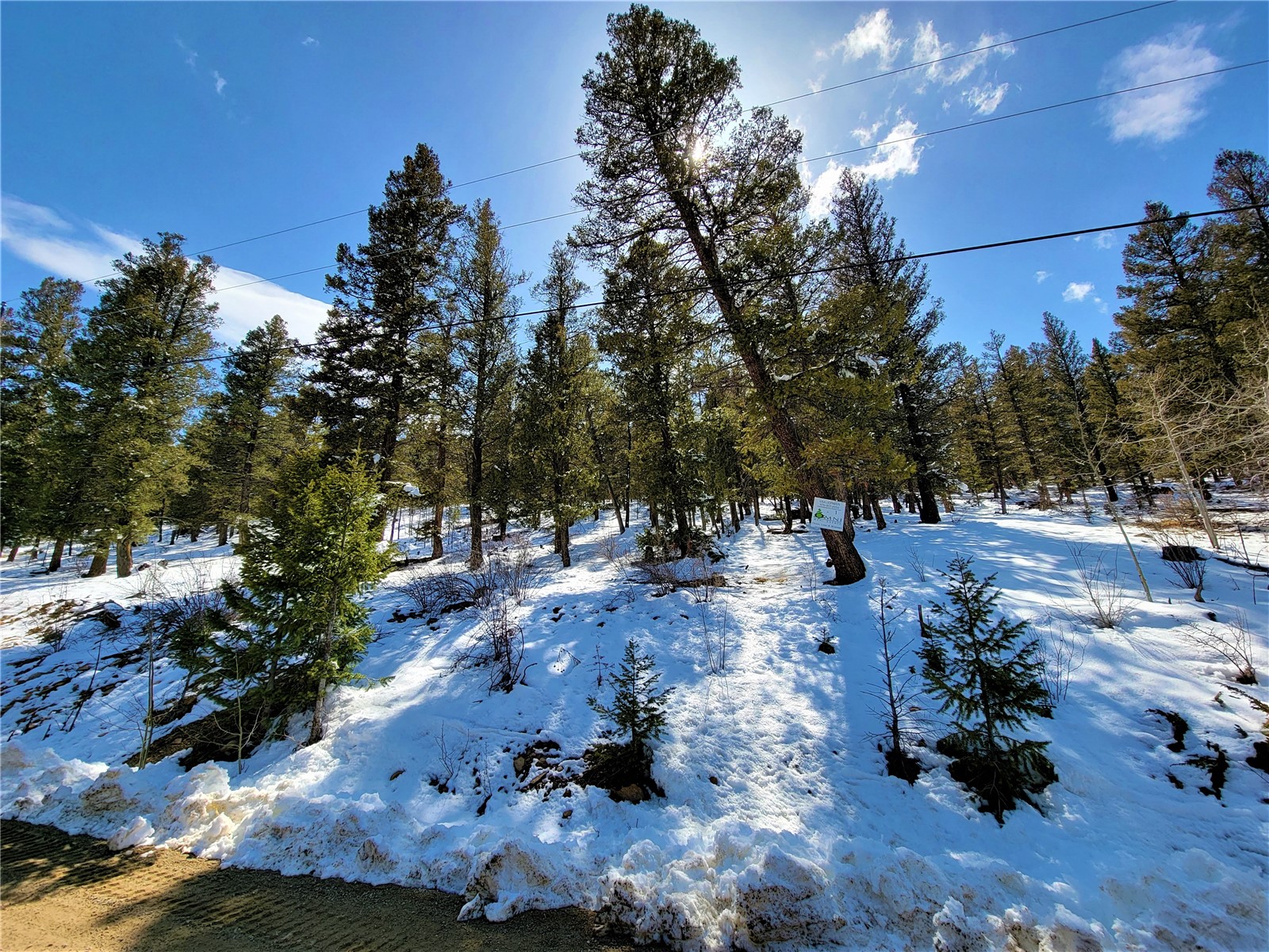 1303 Redhill Road Fairplay, CO 80440 - Photo 8 of 22 Gallery Image 8