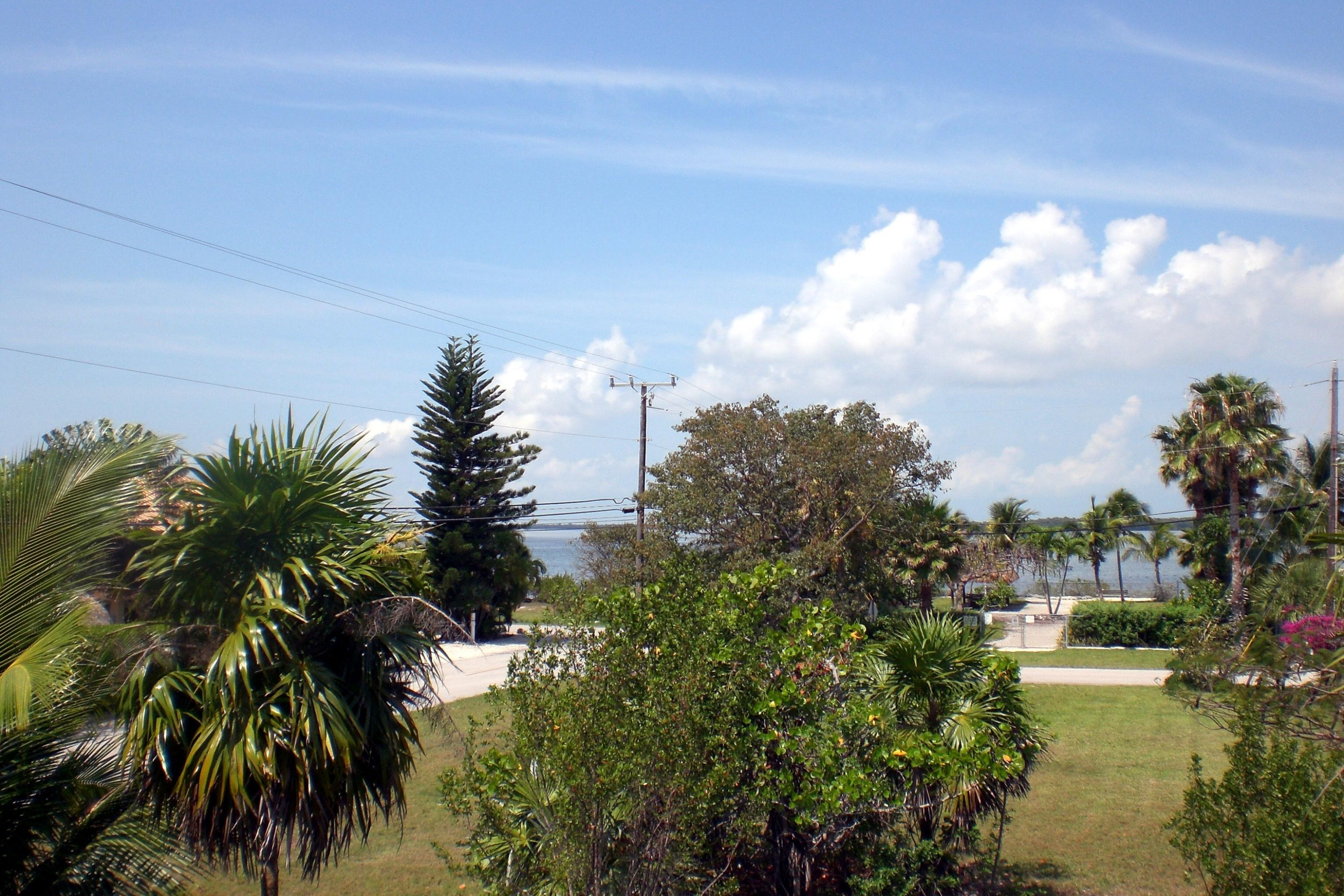 Open Water View!