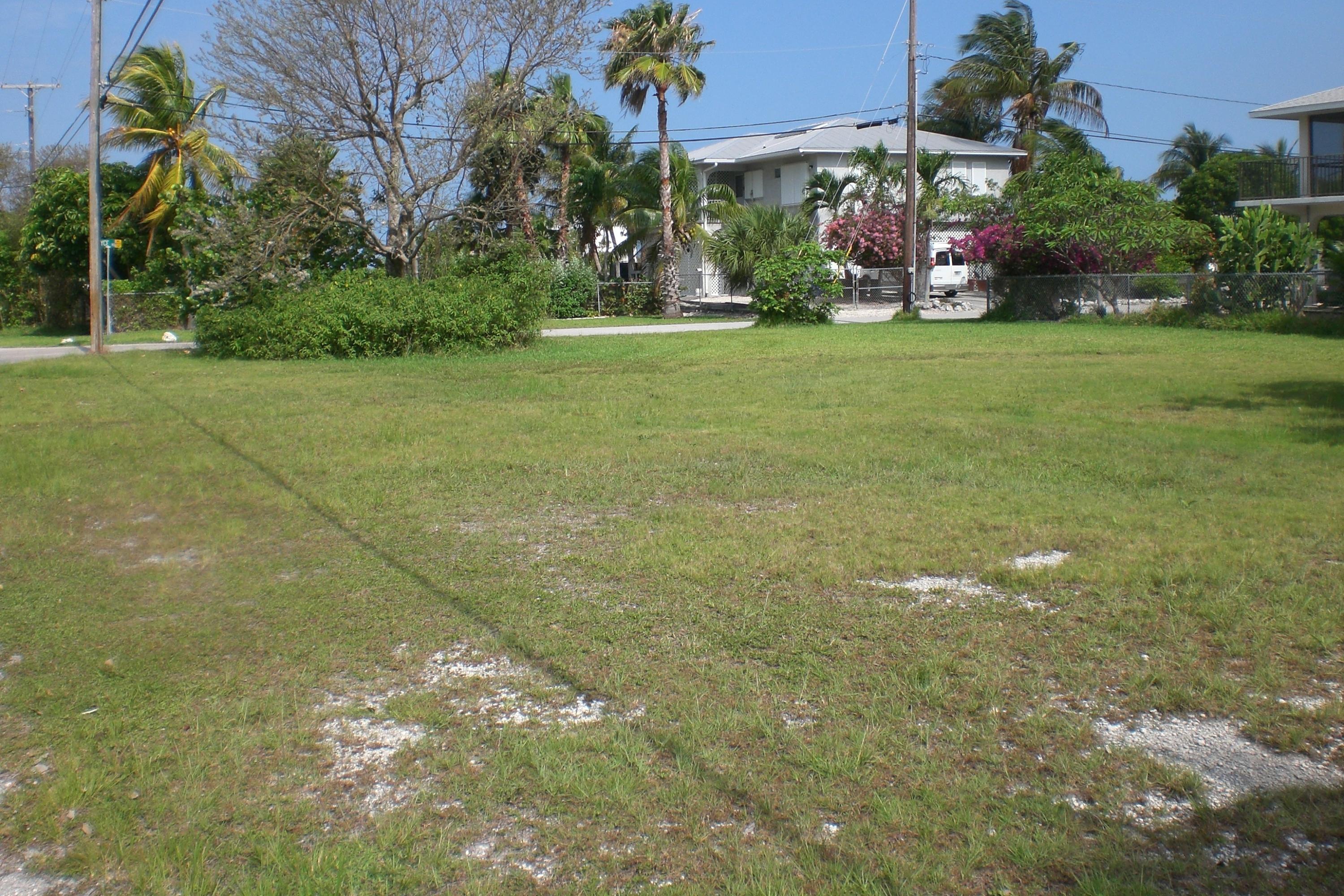 CIMG5296