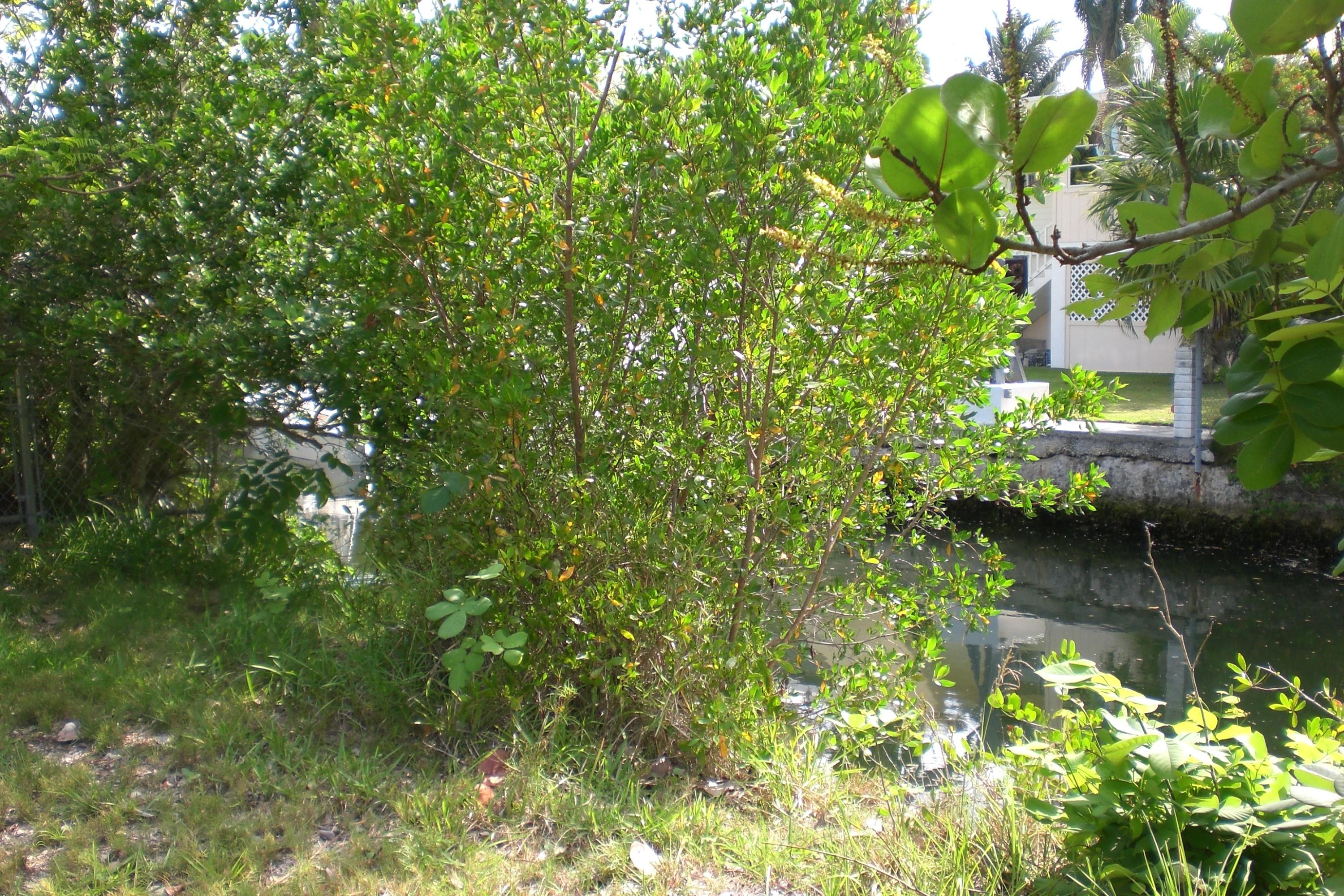 Canal frontage