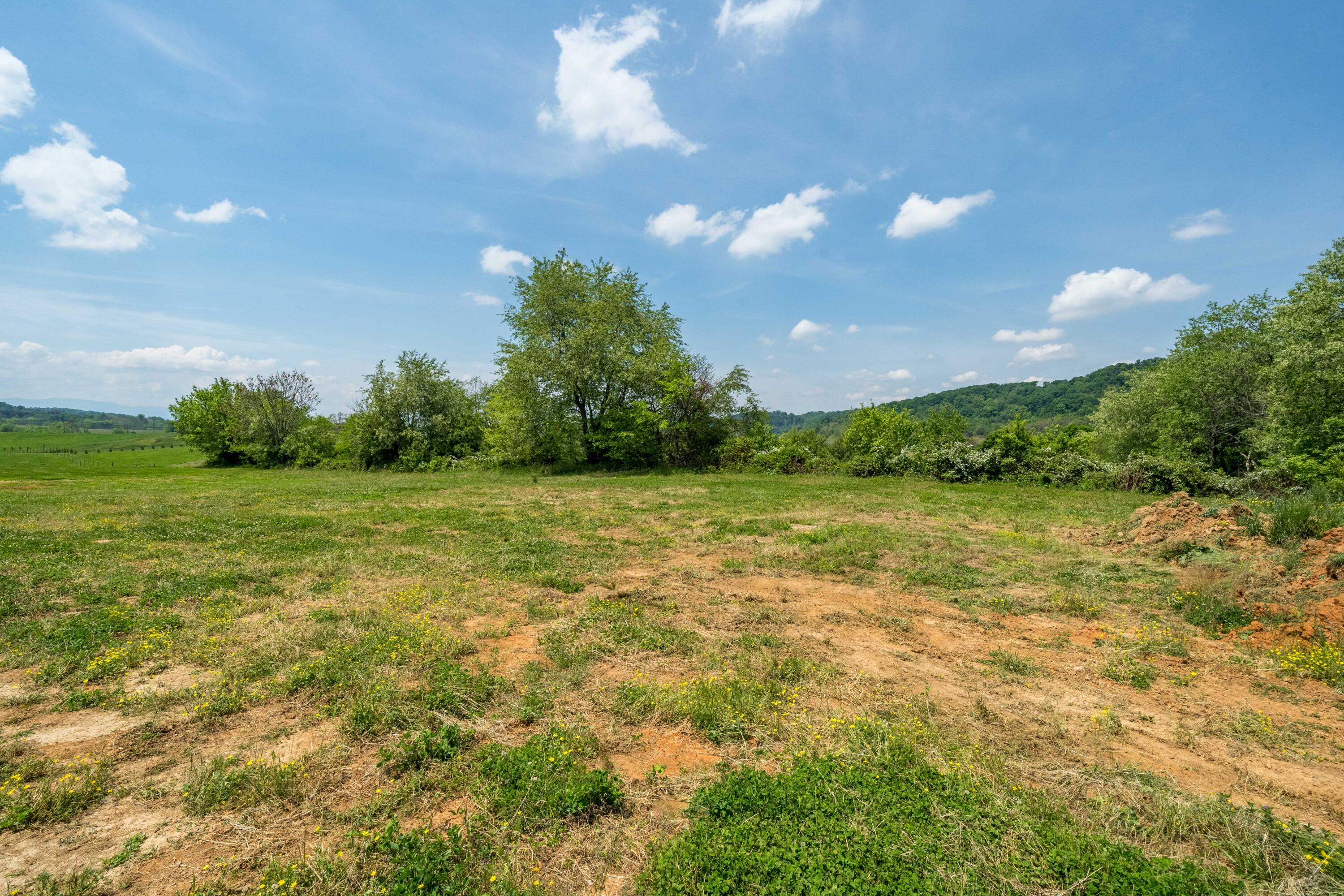 195 Barnett Road, Unit 7 Jonesborough, TN 37659 - Photo 29 of 37 195 & 189 Barnett Rd (35 of 43)