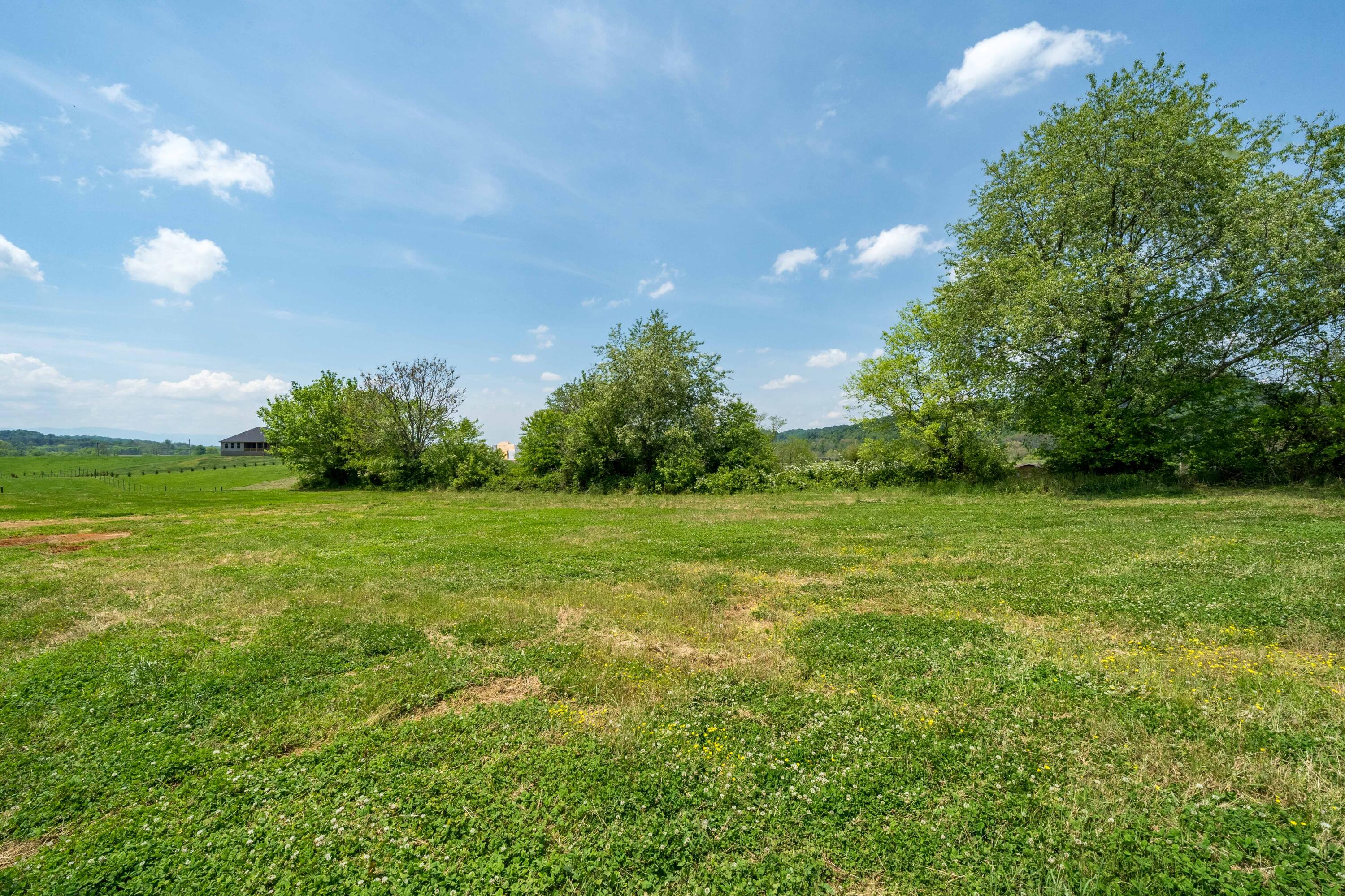195 Barnett Road, Unit 7 Jonesborough, TN 37659 - Photo 36 of 37 195 & 189 Barnett Rd (42 of 43)