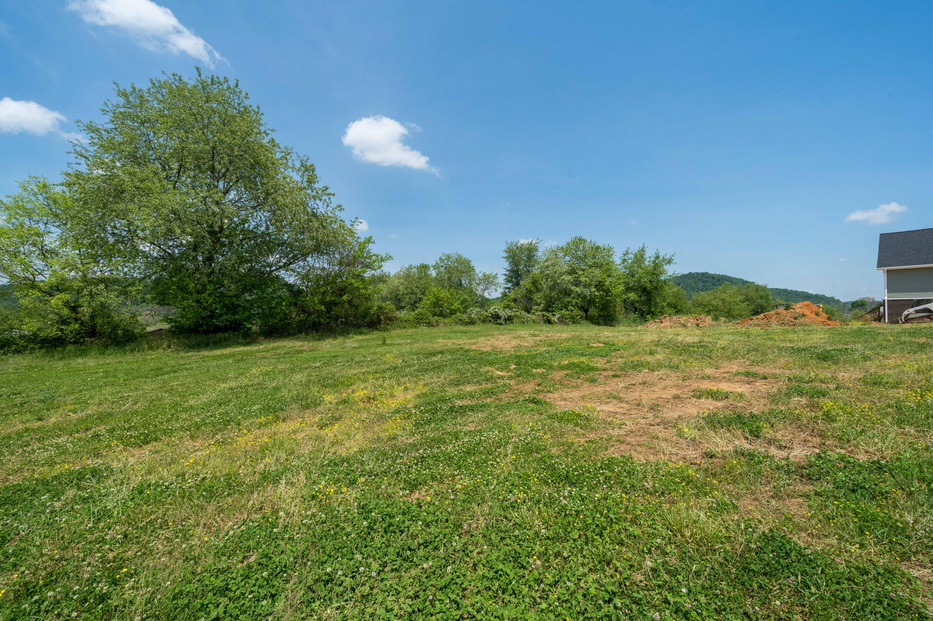 195 Barnett Road, Unit 7 Jonesborough, TN 37659 - Photo 37 of 37 195 & 189 Barnett Rd (43 of 43)