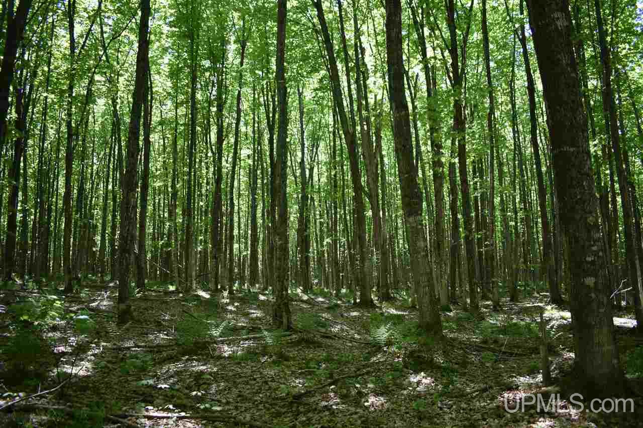24-acres Co Rd Kb Big Bay, MI 49808 - Photo 28 of 50