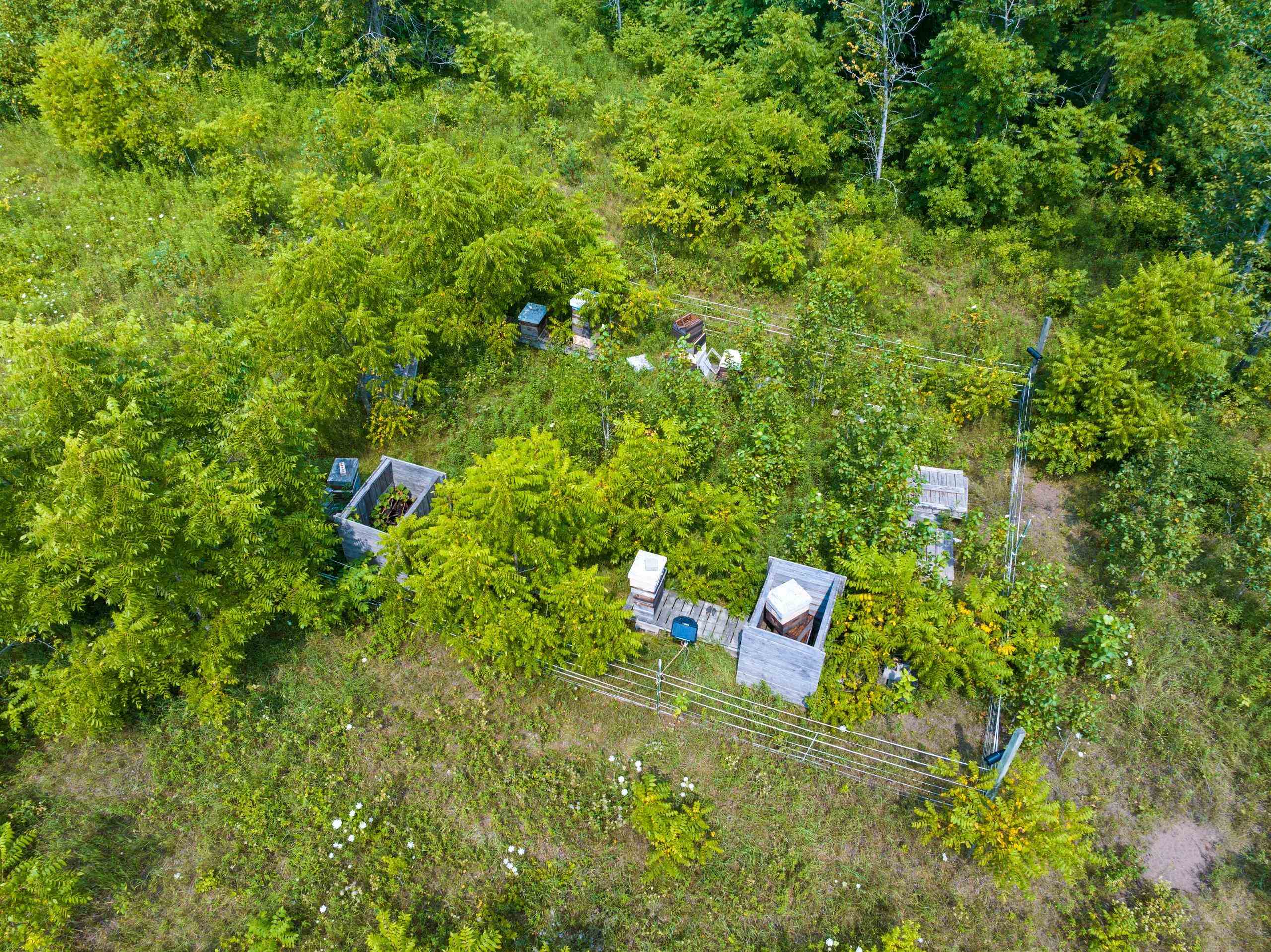 Topel Road Oconto, WI 54153 - Photo 16 of 38