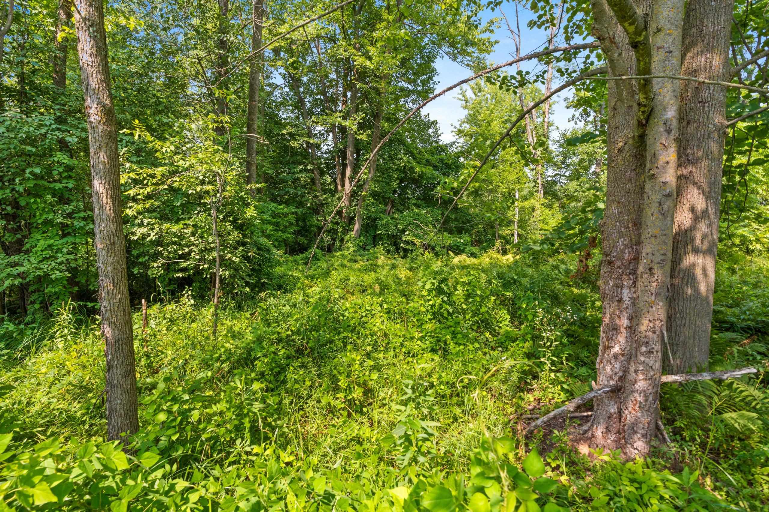 Topel Road Oconto, WI 54153 - Photo 21 of 38