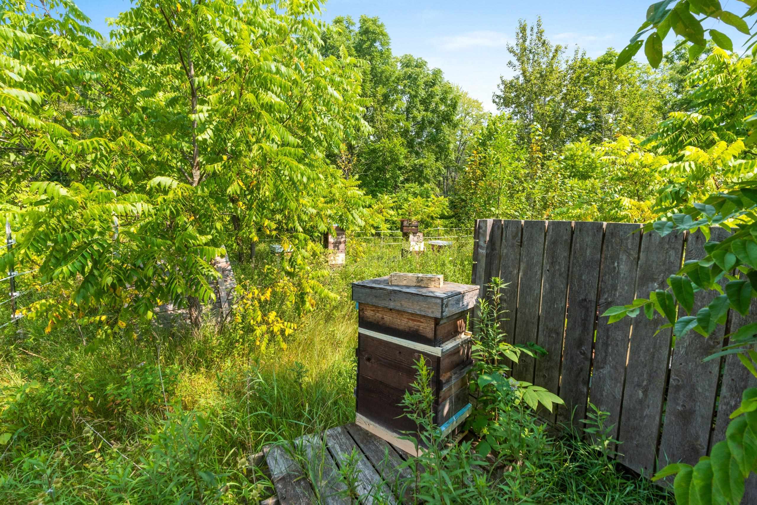 Topel Road Oconto, WI 54153 - Photo 26 of 38