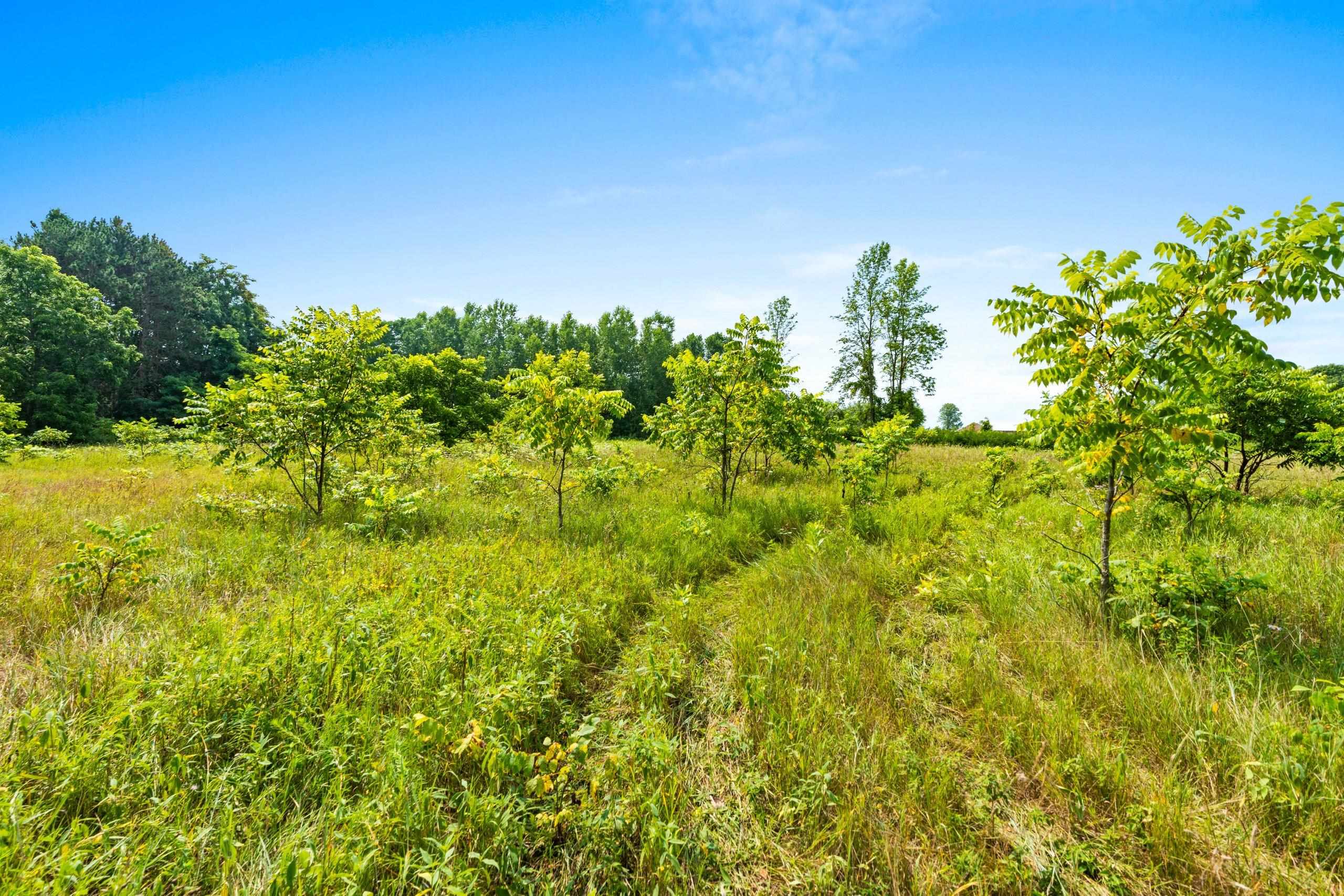 Topel Road Oconto, WI 54153 - Photo 32 of 38