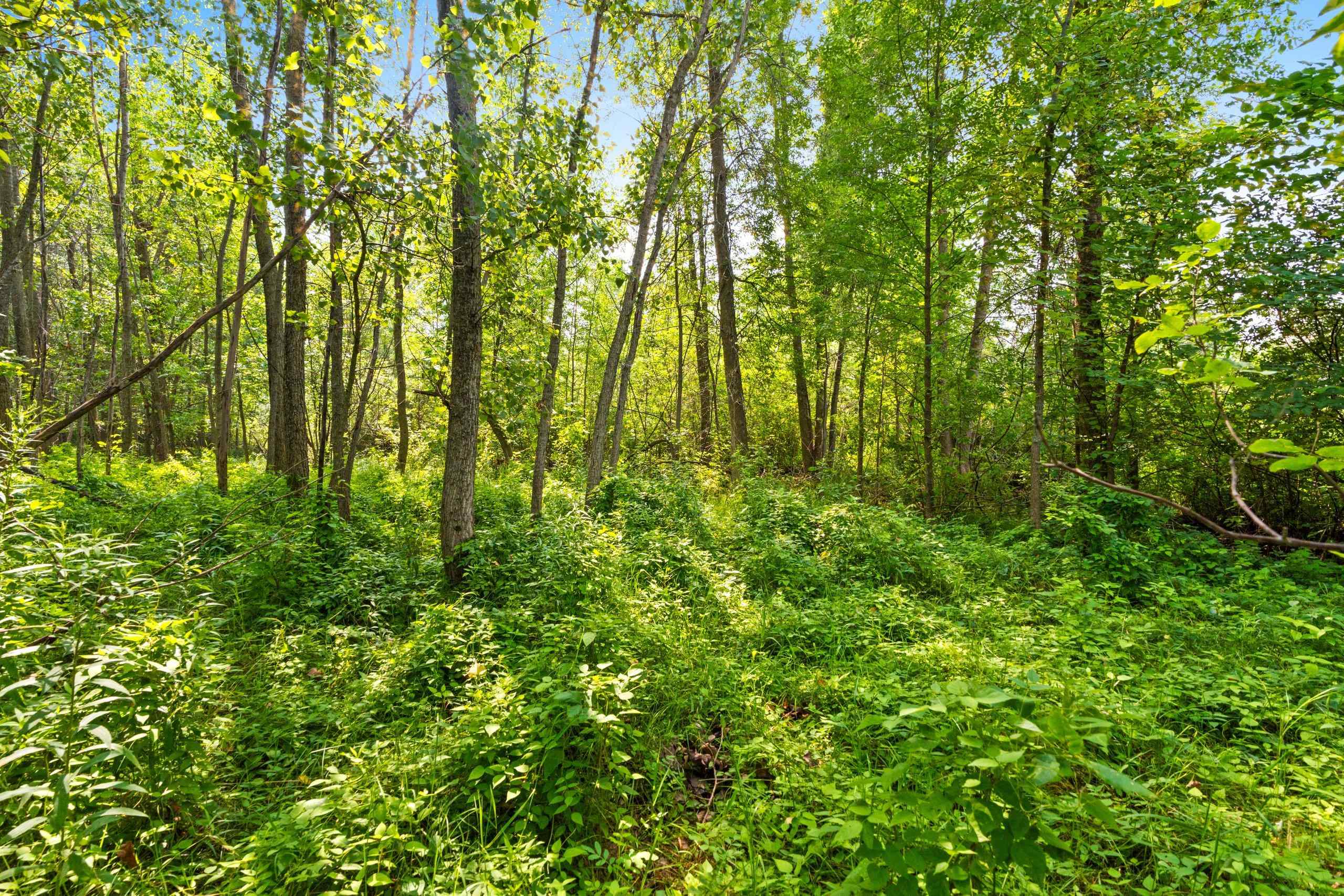 Topel Road Oconto, WI 54153 - Photo 35 of 38