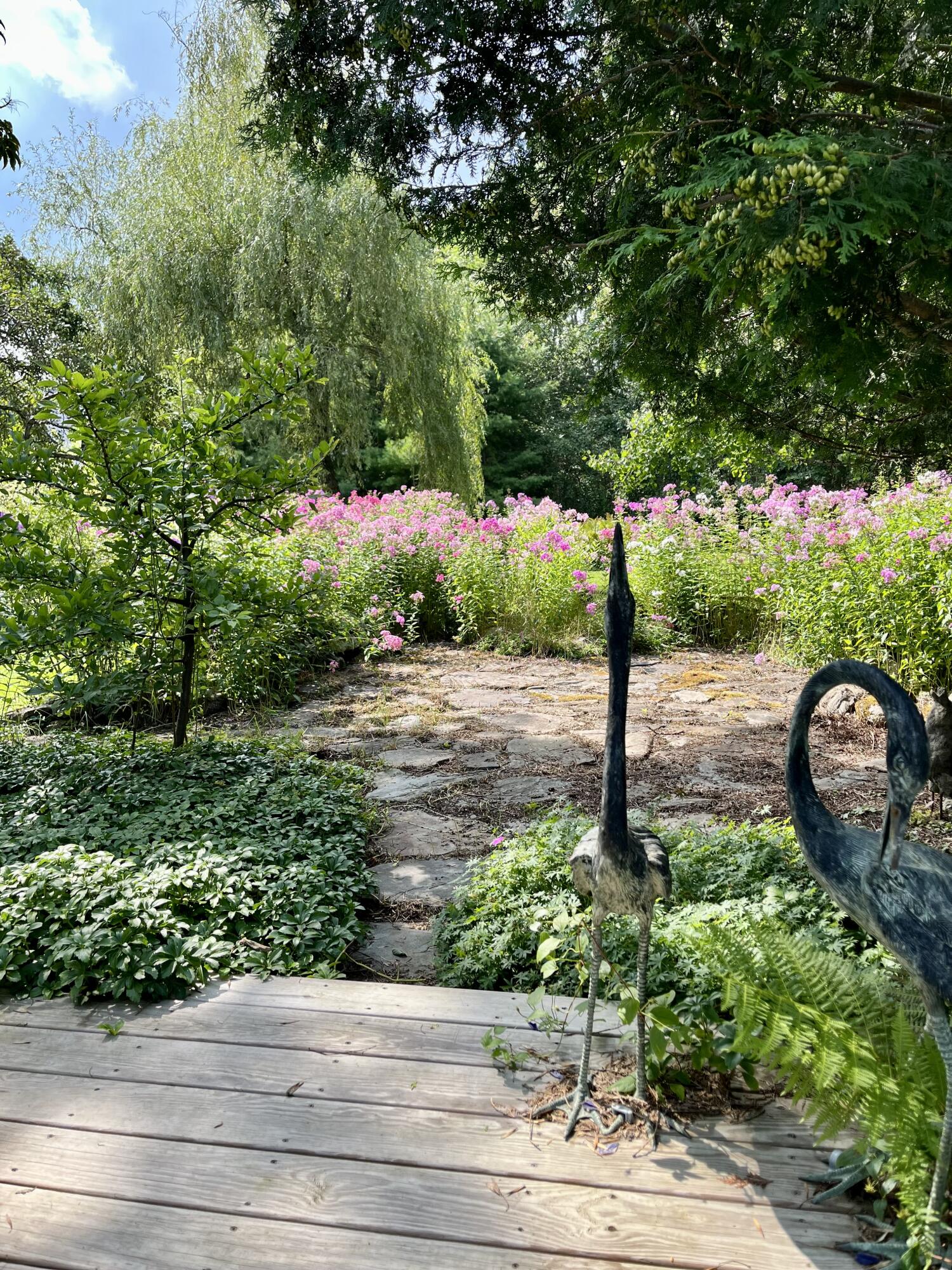 49 Herrick Road Belfast, ME 04915 - Photo 10 of 74 IMG_6818