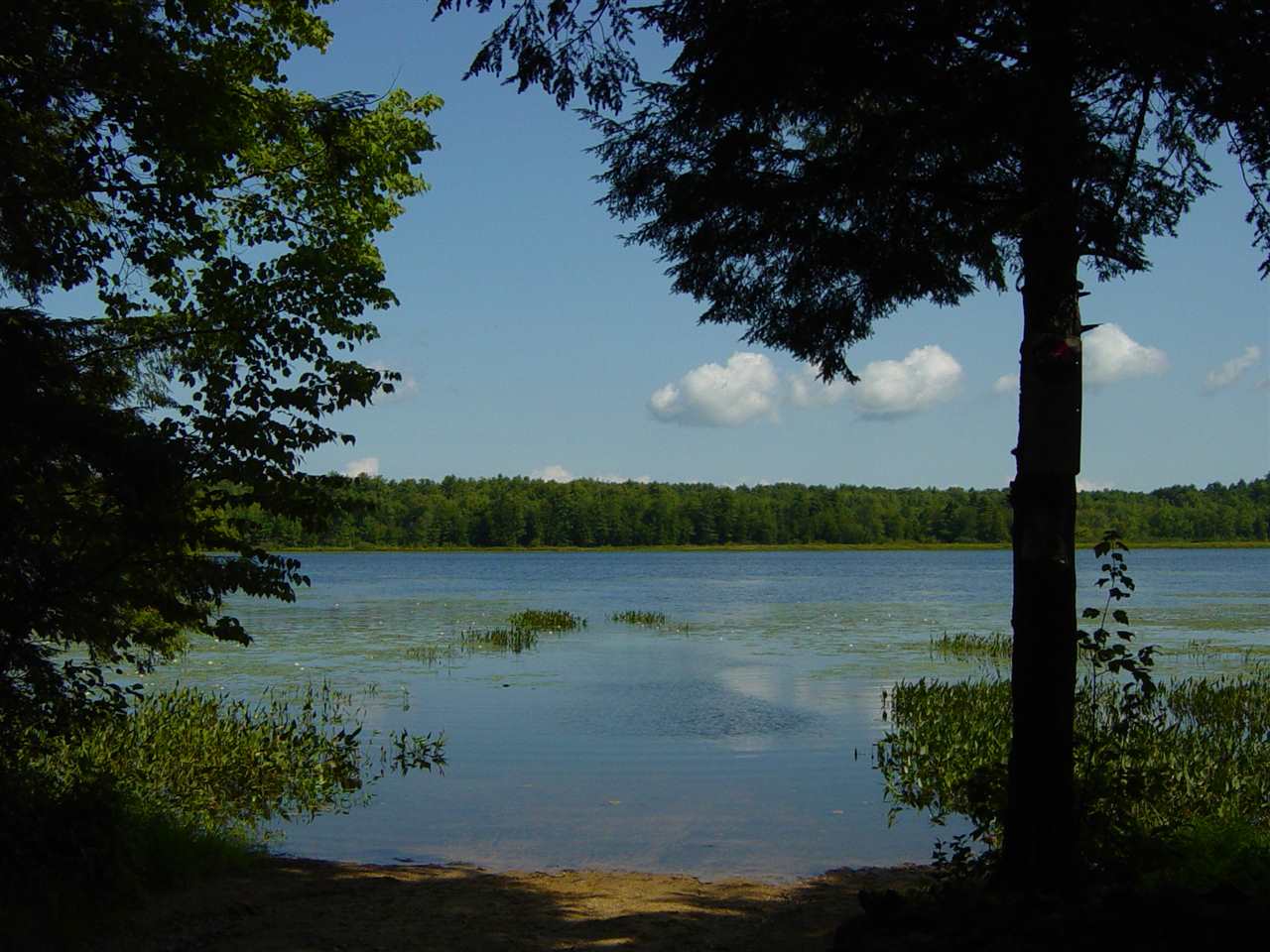 153 Pineo Road Barnstead, NH 03225 - Photo 14 of 14