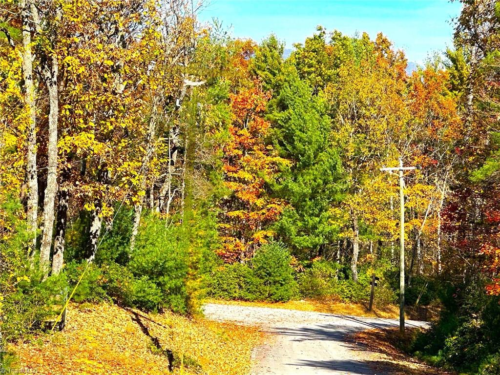 Lot 41 Sutters Ridge Road McGrady, NC 28649 - Photo 2 of 8 Looking down the road