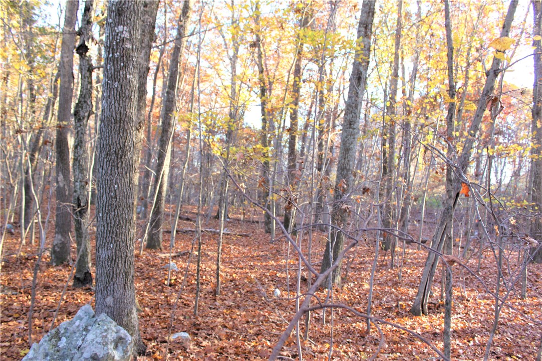 177 Scott Road Cumberland, RI 02864 - Photo 41 of 43 Gallery Image 41