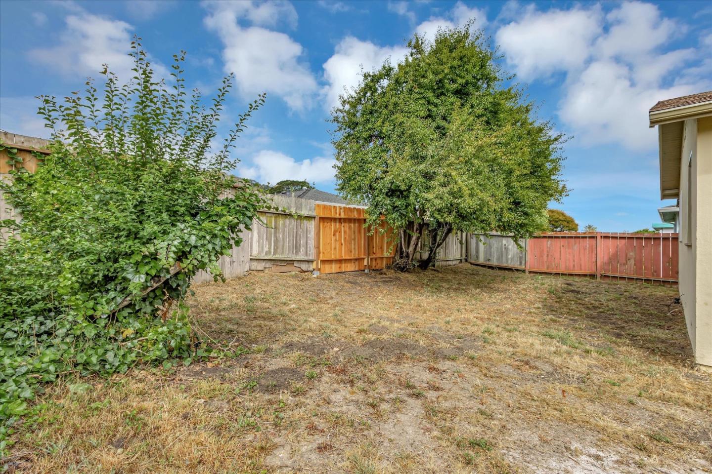 728 Arguello Boulevard Pacifica, CA 94044 - Photo 30 of 34 a backyard of a house with lots of green space