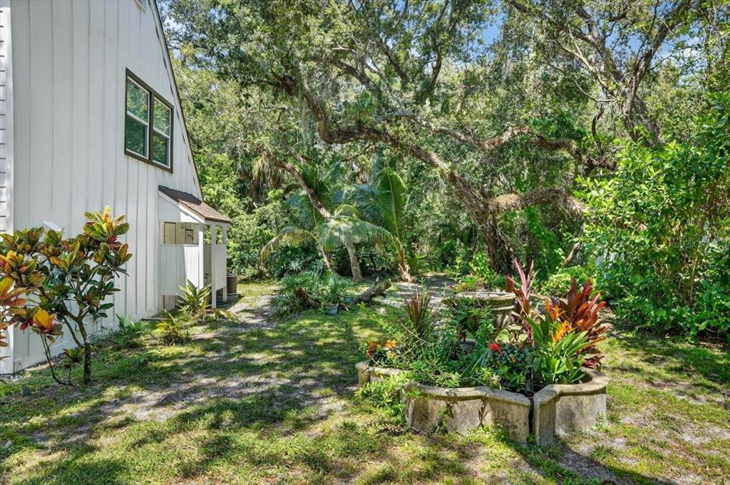120 Beach Street Ponce Inlet, FL 32127 - Photo 60 of 91 a plant that is in front of a house