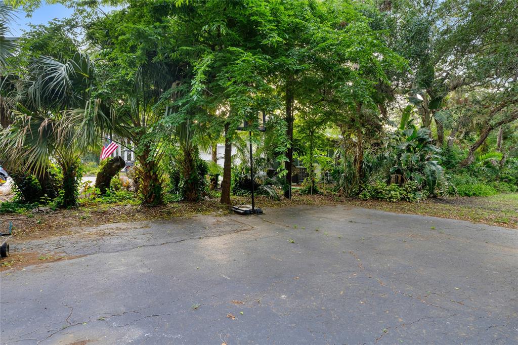 120 Beach Street Ponce Inlet, FL 32127 - Photo 76 of 91 a view of a roadside with trees