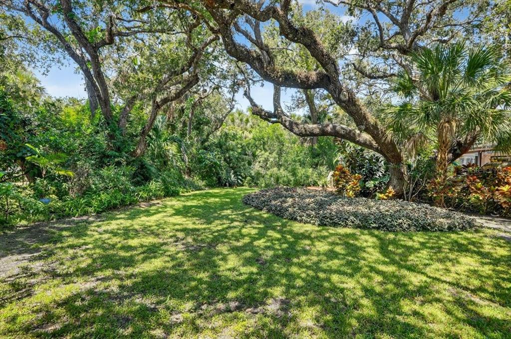 120 Beach Street Ponce Inlet, FL 32127 - Photo 78 of 91 a backyard of a house with lots of green space